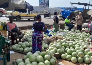 Conakry : les vendeuses de pastèques expriment leurs inquiétudes face aux difficultés rencontrés dans la vente de ce fruit 