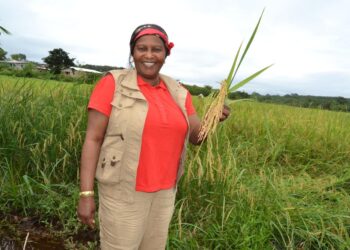 Necrologie : L’exe Ministre de l’agriculture Mariama Soguipah a tiré sa reverance au Maroc