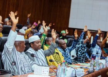 Une journée historique au CNT : les conseillers nationaux adoptent à l’unanimité le projet de nouvelle constitution 