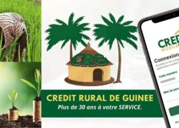 CREDIT RURAL : Le leader des microfinances en Guinée