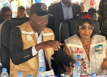 DIXINN/PN RAVEC: HADJA M’MAHAWA SYLLA APPELLE UNE MOBILISATION CITOYENNE