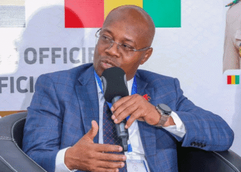 Ousmane Gaoual vs Cellou Dalein Diallo : plaidoyer pour la justice et l’alternative à la tête de l’UFDG