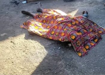 Découverte d’un corps sans vie au débarcadère de Boulbinet