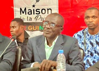 Présidentielle en Guinée : le Collectif des Candidats Indépendants constante leur incapacité à remplir les conditions de parrainage….