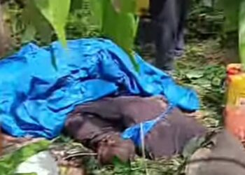 Macenta: Accident mortel à Ziama, au moins 5 morts et plusieurs blessés sur l’axe Nzérékoré–Macenta.