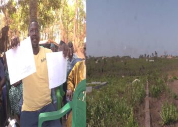 Coyah : bras de fer entre coutumiers, acheteurs et autorités autour des parcelles