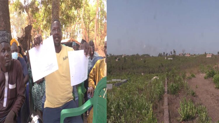 Coyah : bras de fer entre coutumiers, acheteurs et autorités autour des parcelles